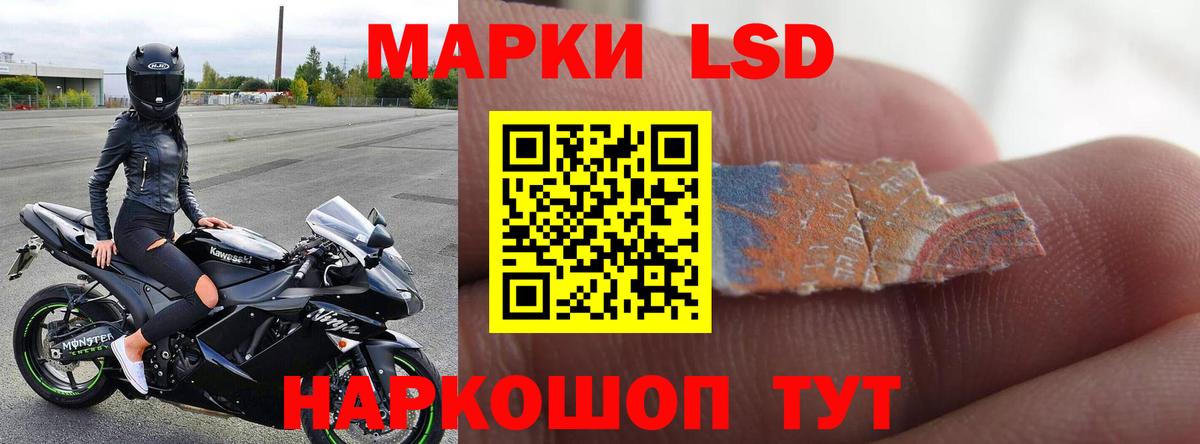 Дальнегорск  Лсд 25 экстази кислота  ЛСД экстази кислота  Вход с VPN 