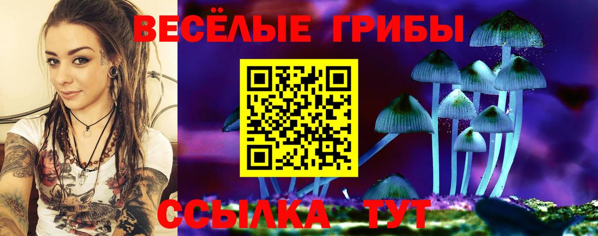 Дальнегорск  Псилоцибиновые грибы Cubensis  Вход с VPN 