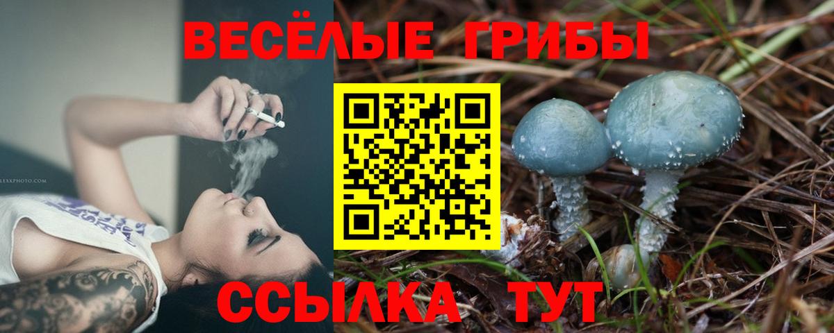 Галлюциногенные грибы Psilocybine cubensis Дальнегорск